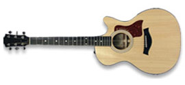 Picture of Dionysis Guitar